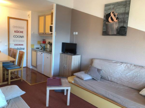 Appart cosy, accès pistes, mezzanine, casier à skis, animaux admis - FR-1-181-2154